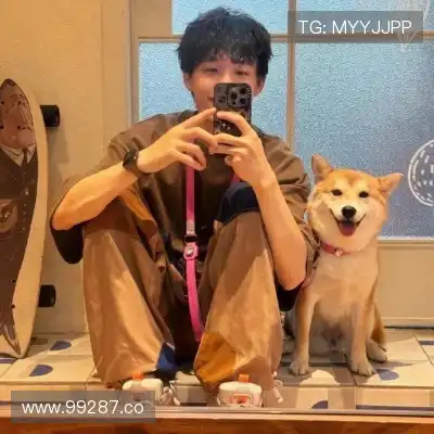 何鹰辉